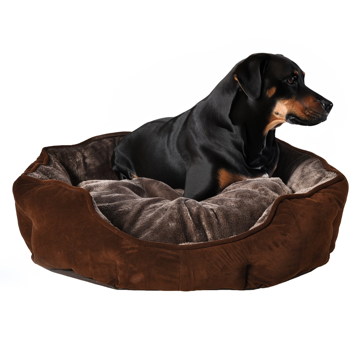 BENNO® Hundebett Hundekissen Hundekorb CHARLY L 1 BENNO® Hundebett Hundekissen Hundekorb CHARLY L
