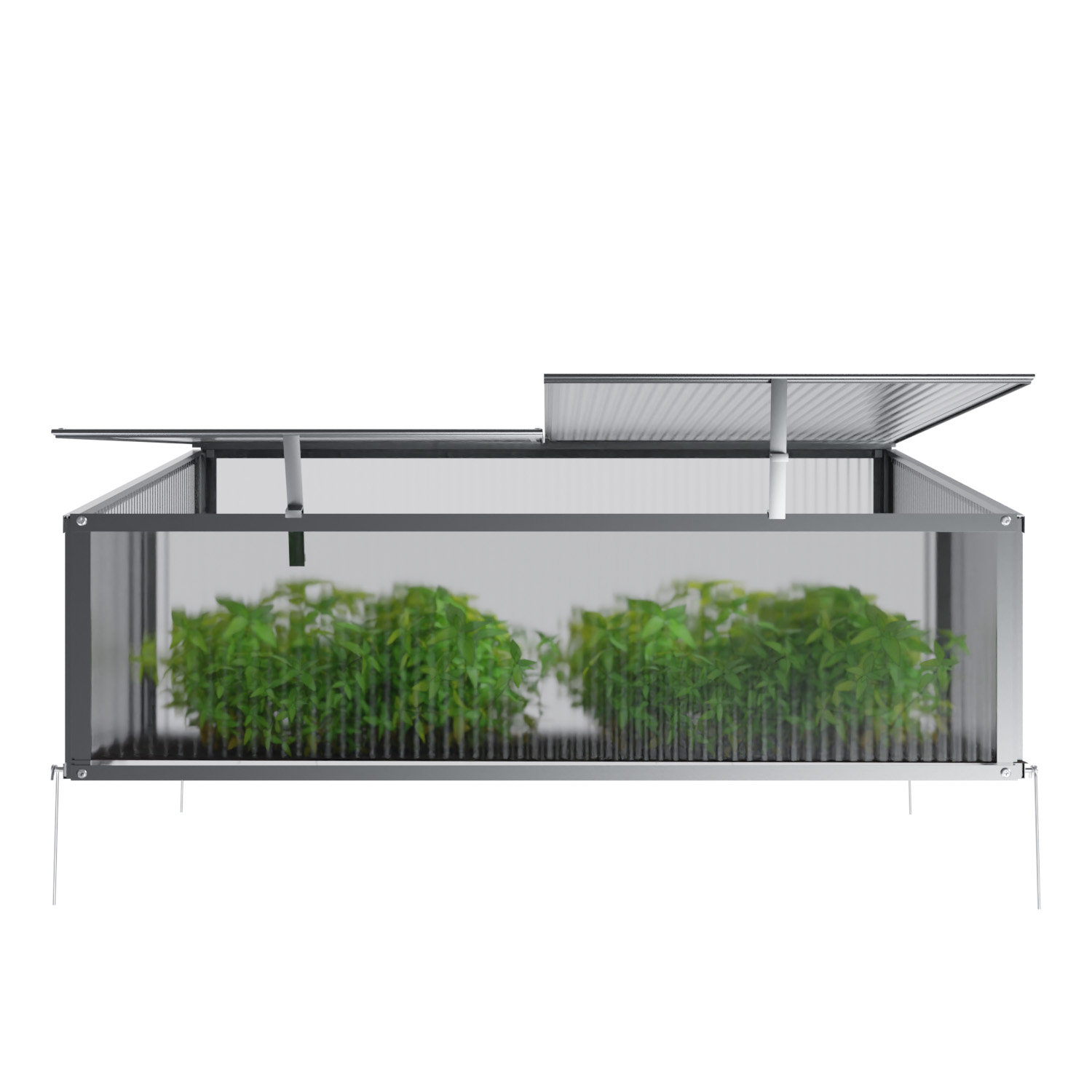 Mini Gewächshaus Allium aus Aluminium, 0,6m², 4mm Wand, 100x60x40cm 1 Mini Gewächshaus Allium aus Aluminium, 0,6m², 4mm Wand, 100x60x40cm